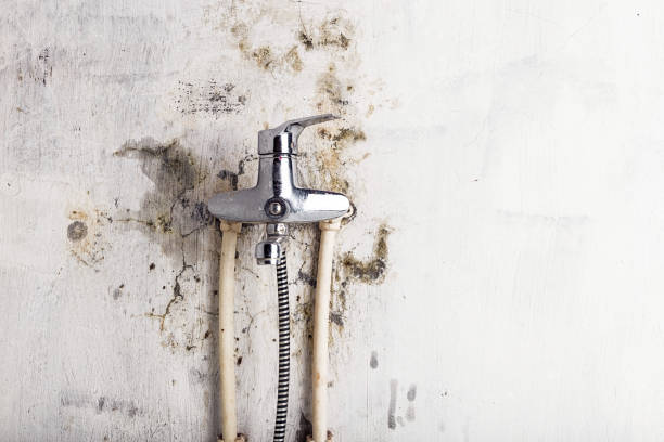 Best Emergency Mold Removal  in Lionville, PA