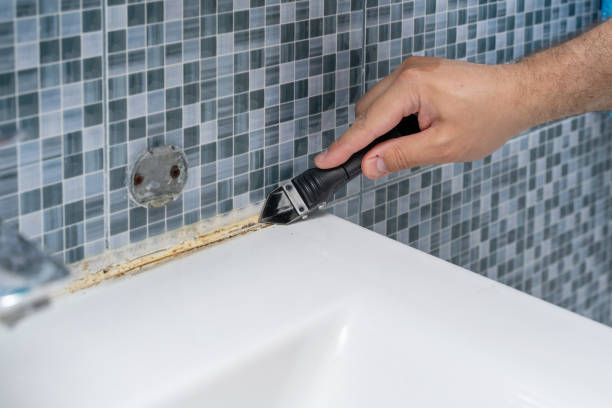 Best Fast Mold Removal  in Lionville, PA
