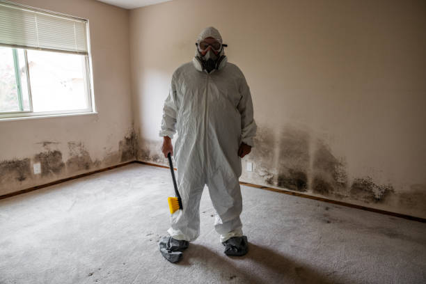 Best Mold Damage Repair  in Lionville, PA